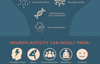 Infographic: Neuroplasticity